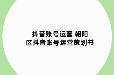 抖音账号运营 朝阳区抖音账号运营策划书